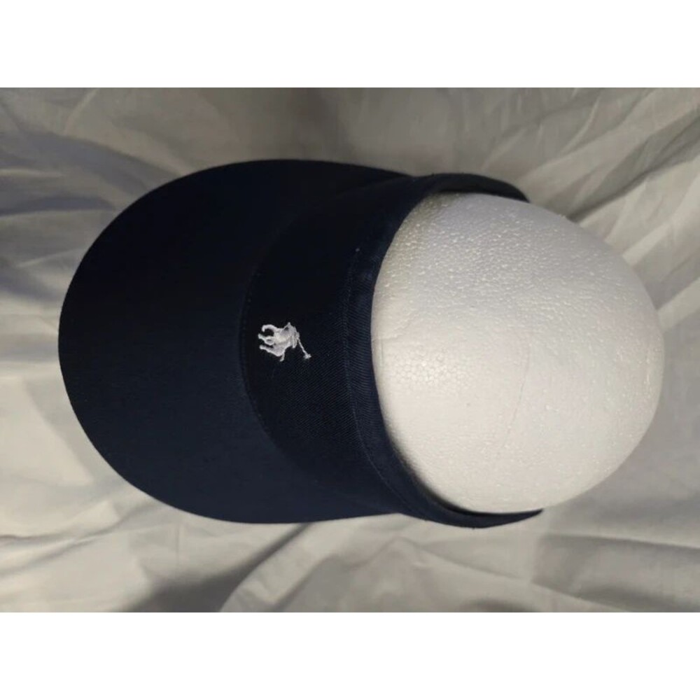 Polo Visor - Picture 2 of 9